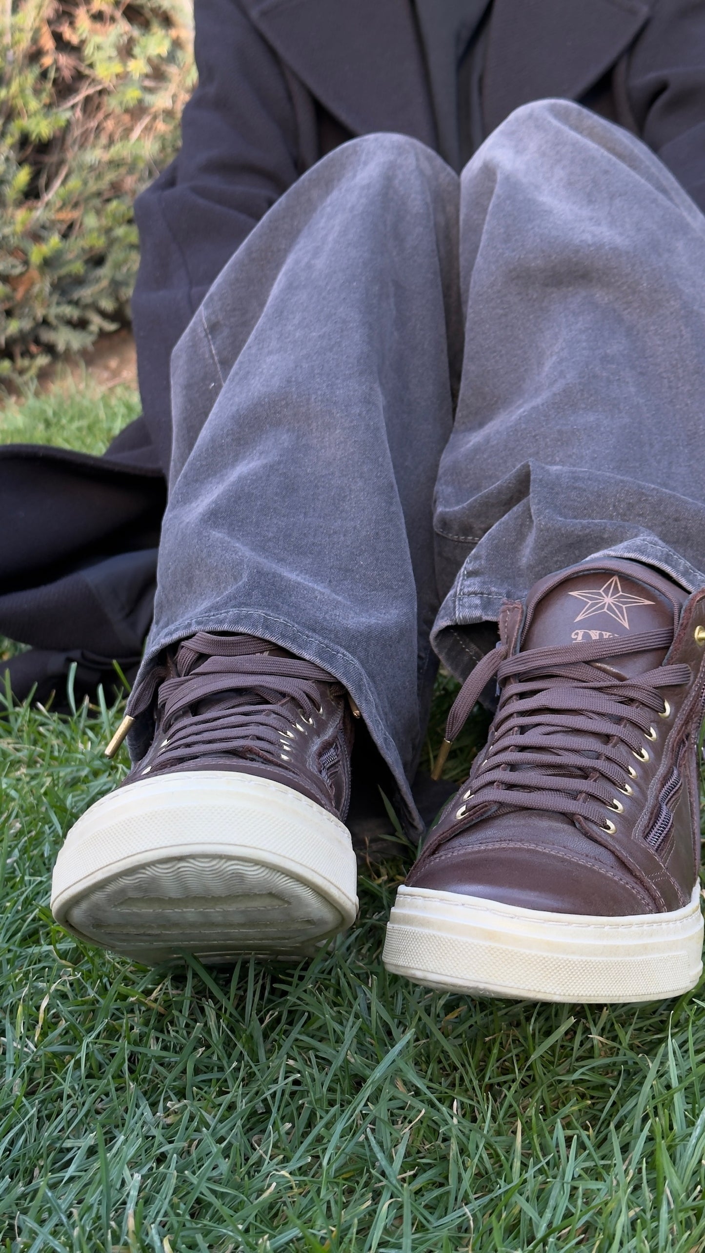 DW  Chocolat & Or Premium